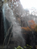 21024253_1750654424_29large.jpg
